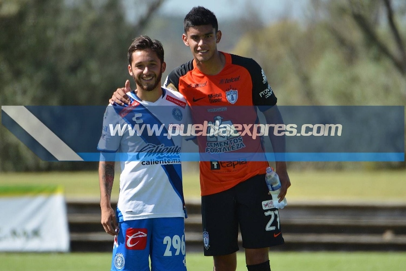 mvf_4924-1501x1003-800x535